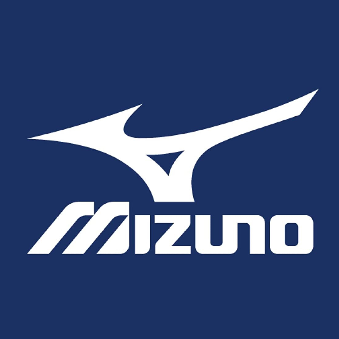 美津濃是日本最大的體育用品及運動服裝品牌，於1906年4月1日創立於日本大阪。