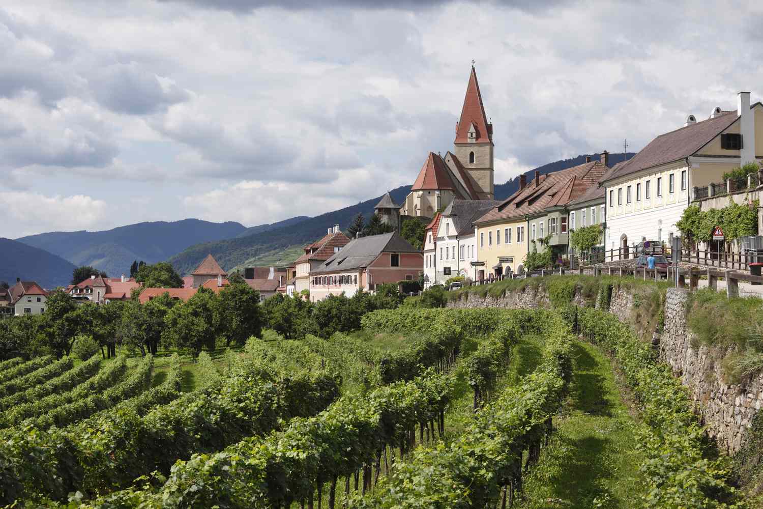 奧地利葡萄酒莊體驗。