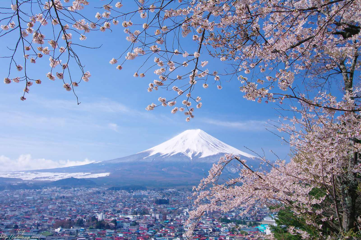 揮向富士山，又來了！