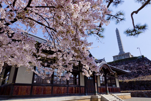 櫻花三月瘋日本：賞櫻、揮桿、觀光、血拚